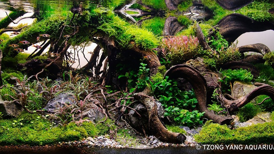 Акваскейп Сонная Лощина