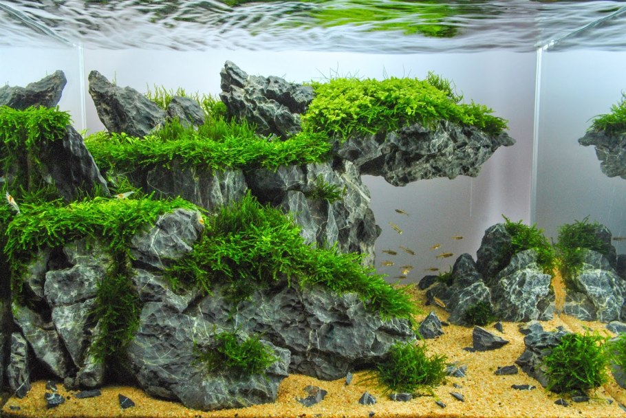 Акваскейп вулканическая лава