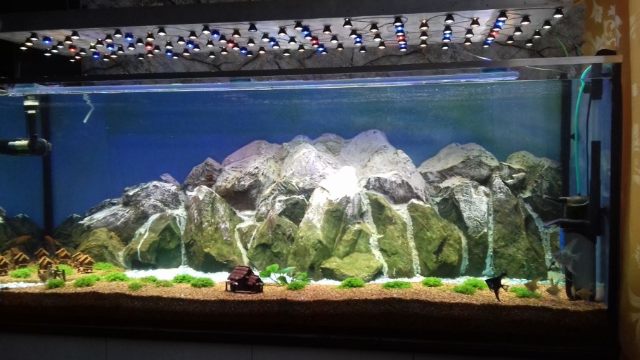 Сухой аквариум с камнями