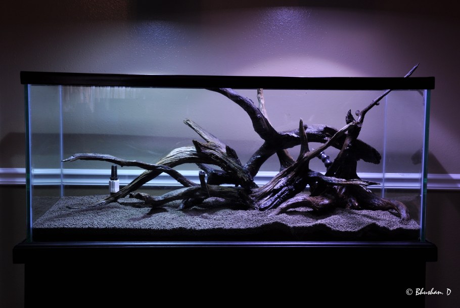 Хардскейп цихлидник