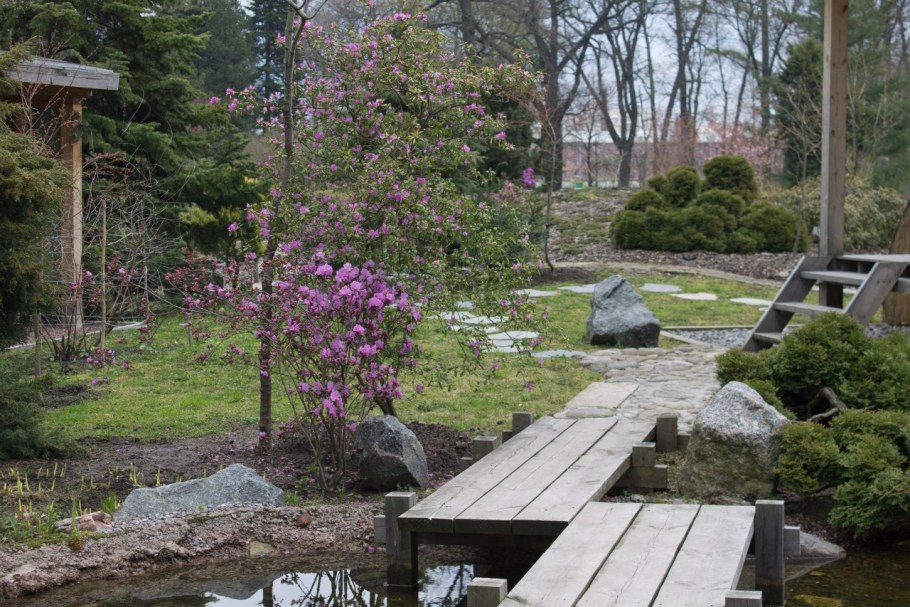 Стиль Дзио в японском саду