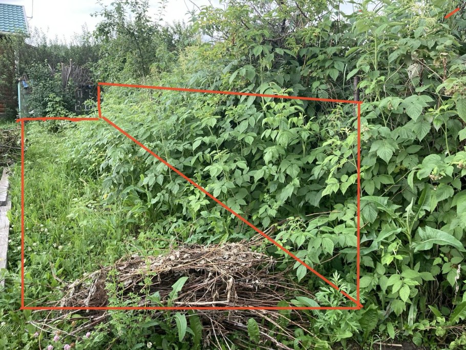 Шпалера для ежевики Торнфри