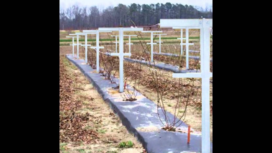 Приспособление для подвязки малины