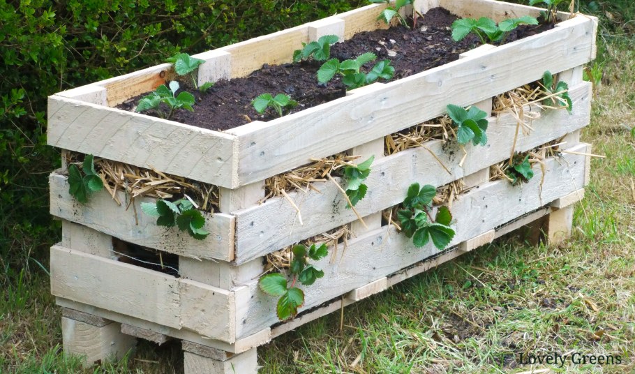 Интересные штучки для дачи