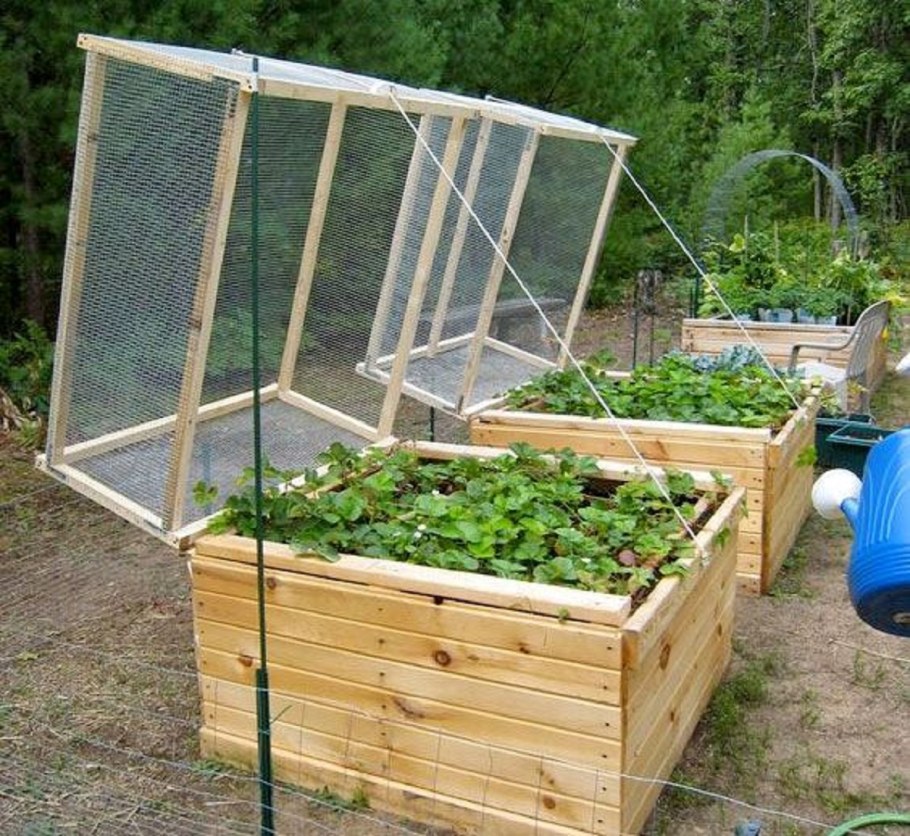 Стор для сада и огорода