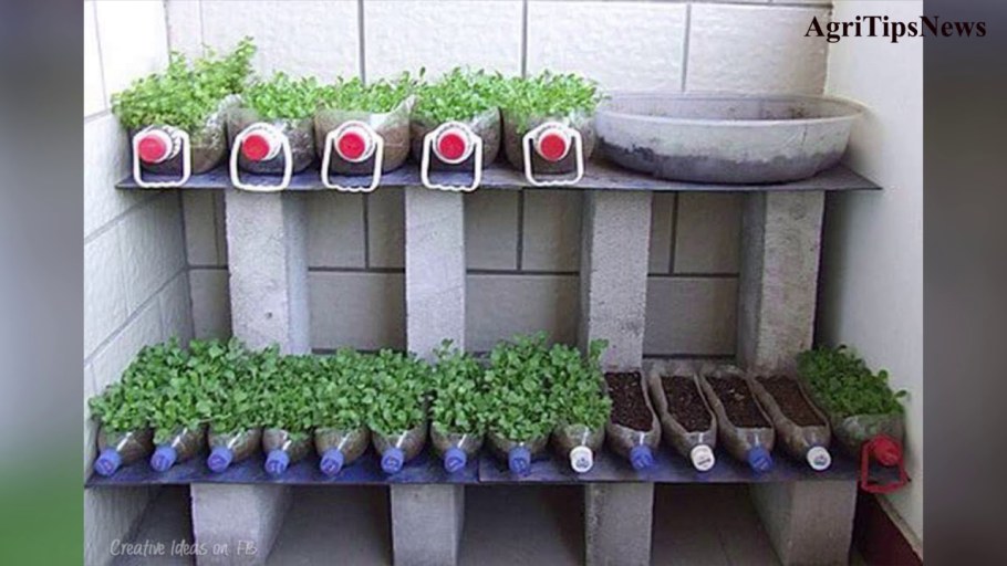 Скамейка с клумбой