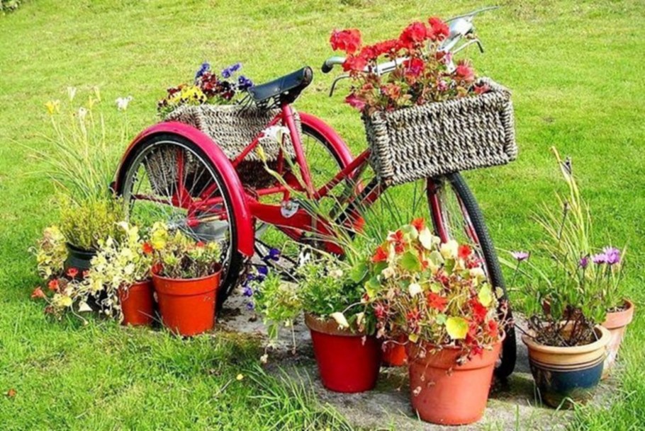 Огурцы на даче