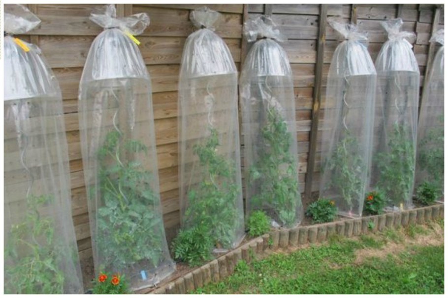 Дача своими руками