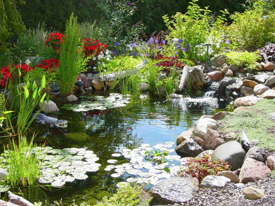 Пруд в саду