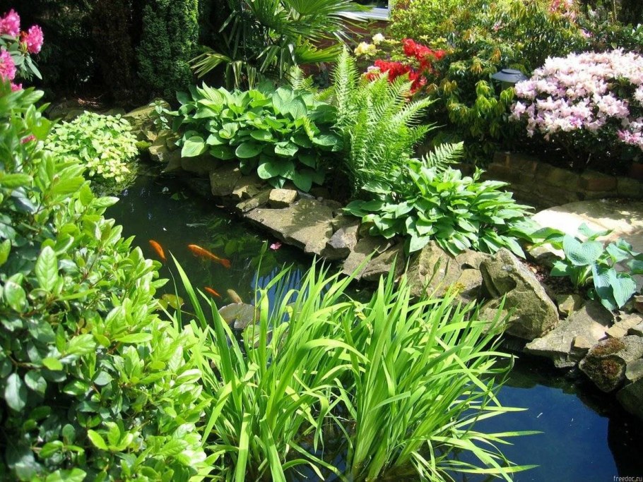 Огородный прудик