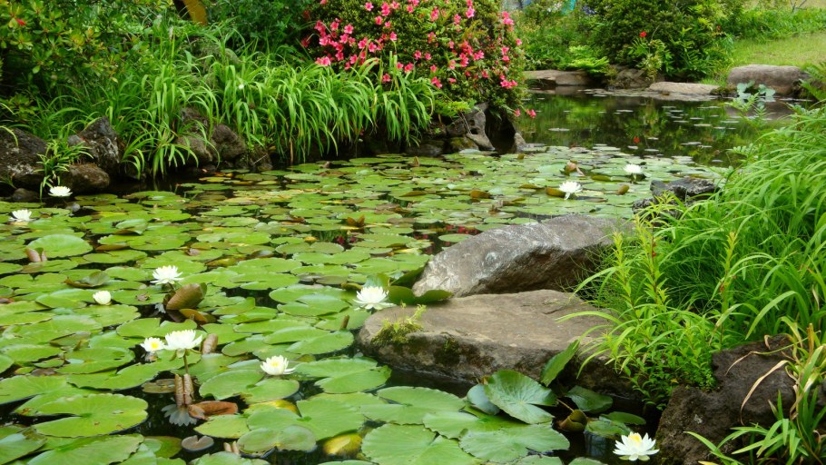 Альпийская горка с прудиком