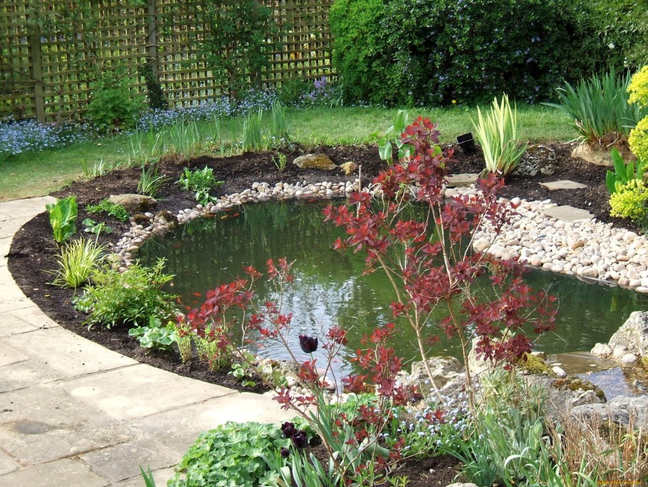 Хвойники хосты пруд