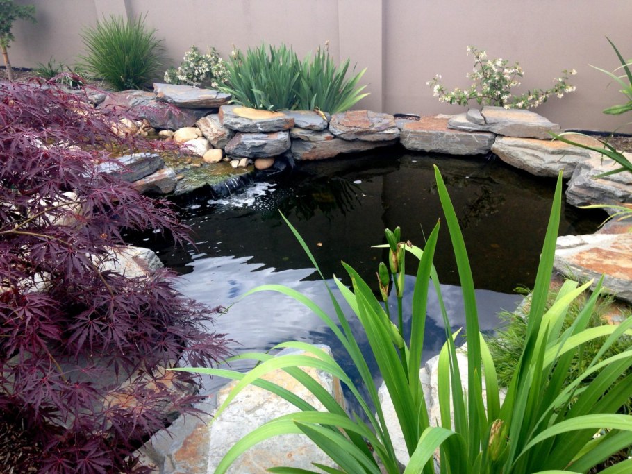 Цветы у декоративного водоема