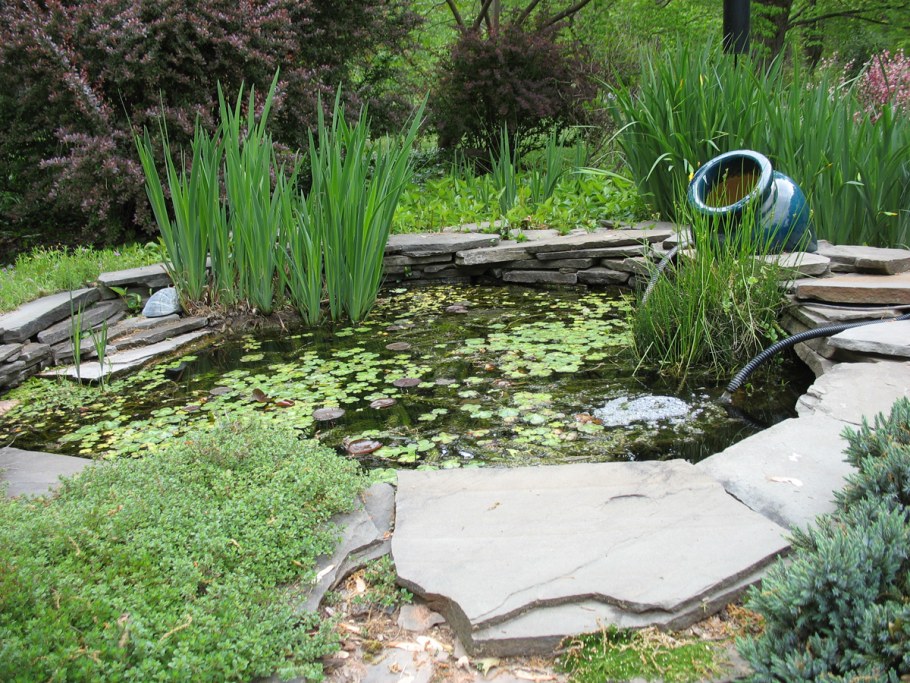 Ландшафтный сад "нимфея парк"