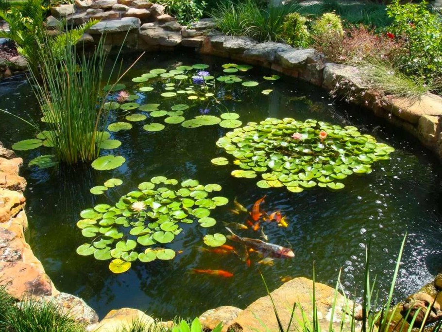 Ландшафтный сад нимфея парк Ангарск