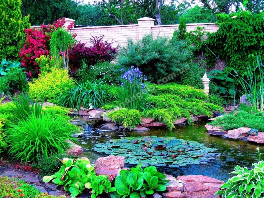 Растения вокруг пруда пластикового