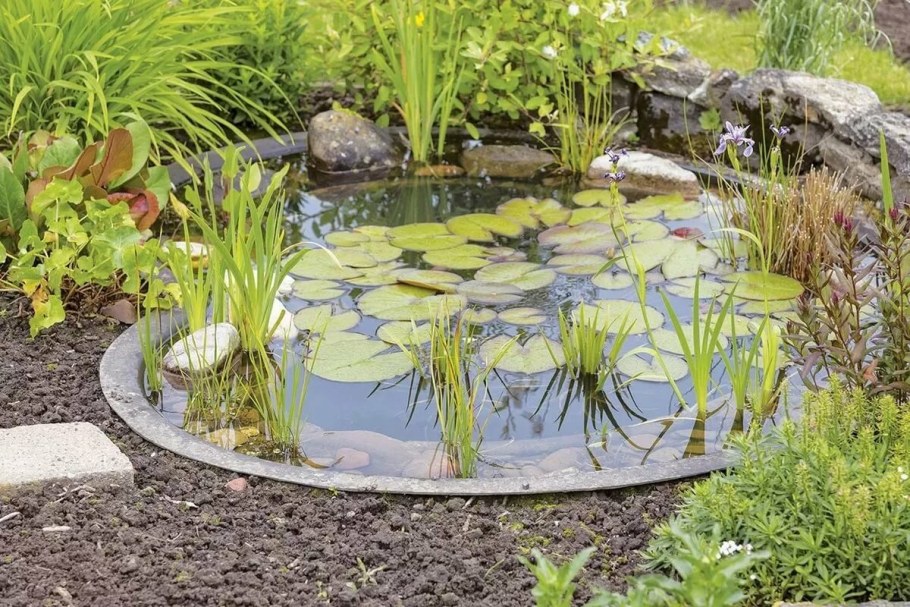 Ландшафтный сад "нимфея парк"