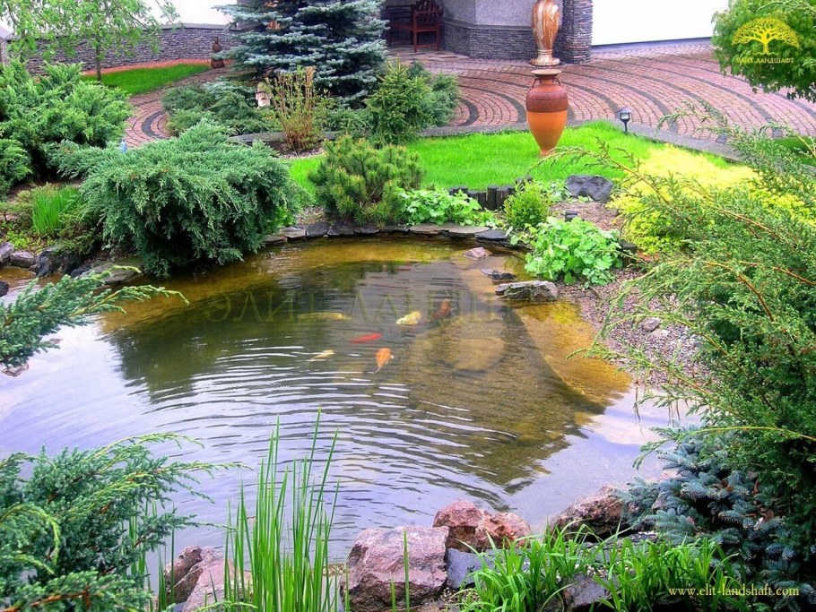 Цветы вокруг пруда