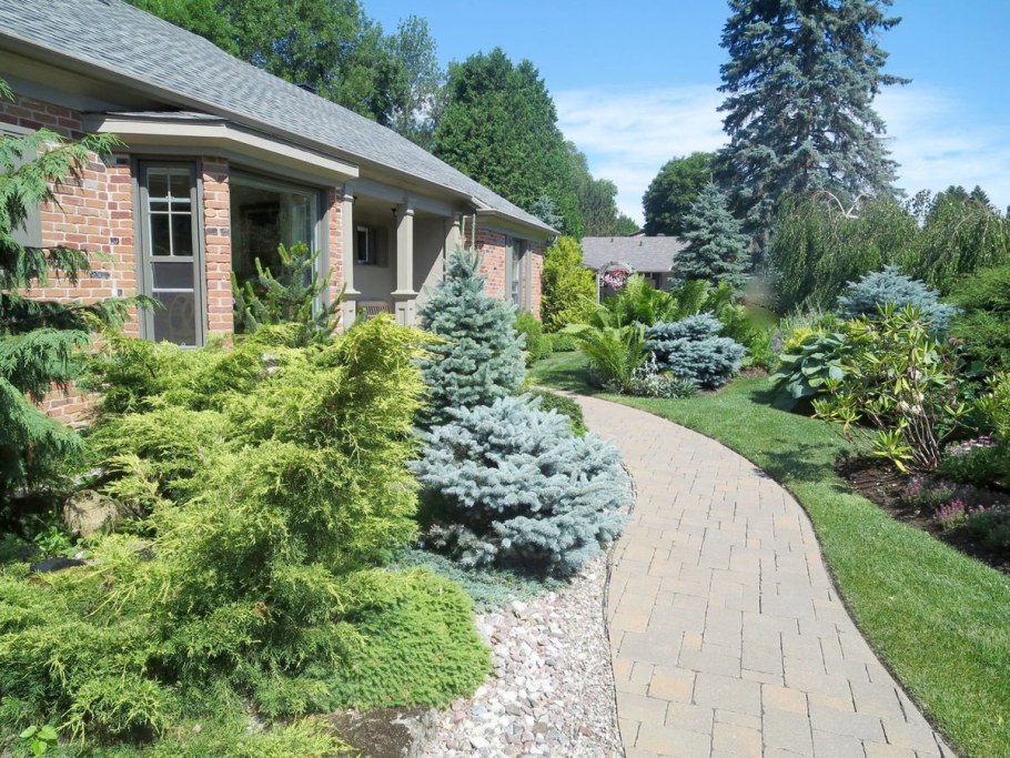 Миксбордер туя Барбарис