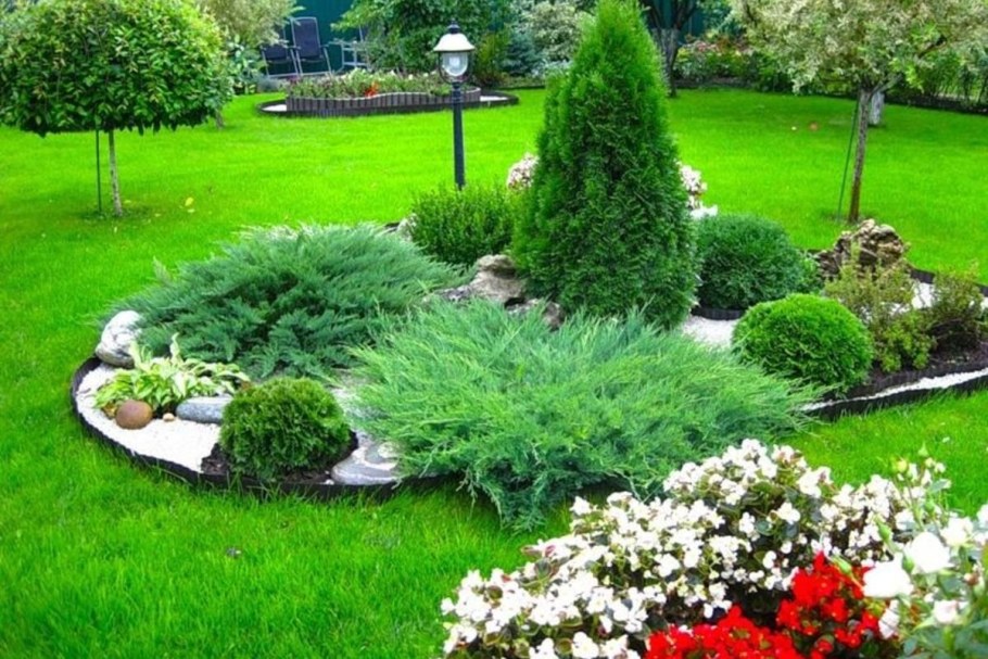 Хвойная клумба с туями Смарагд