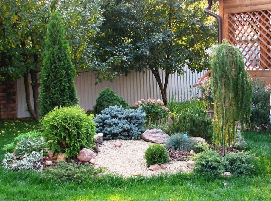 Туя Смарагд в рокарии