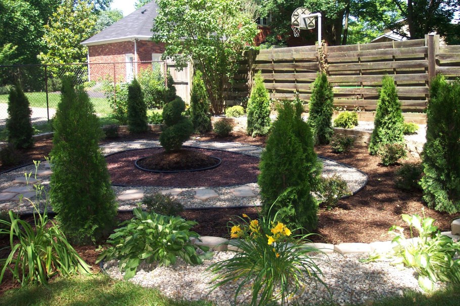 Хвойники сосна можжевельник