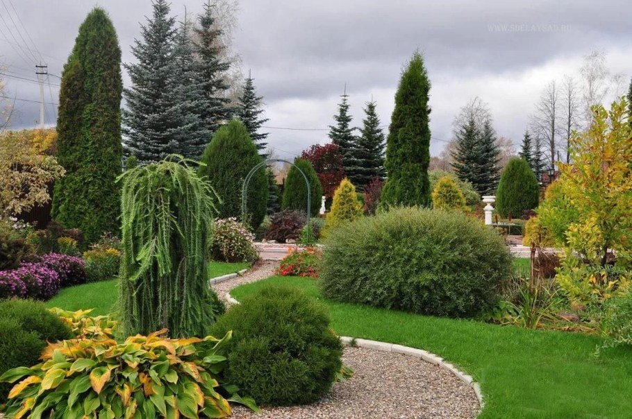 Композиции с можжевельником Блю Эрроу