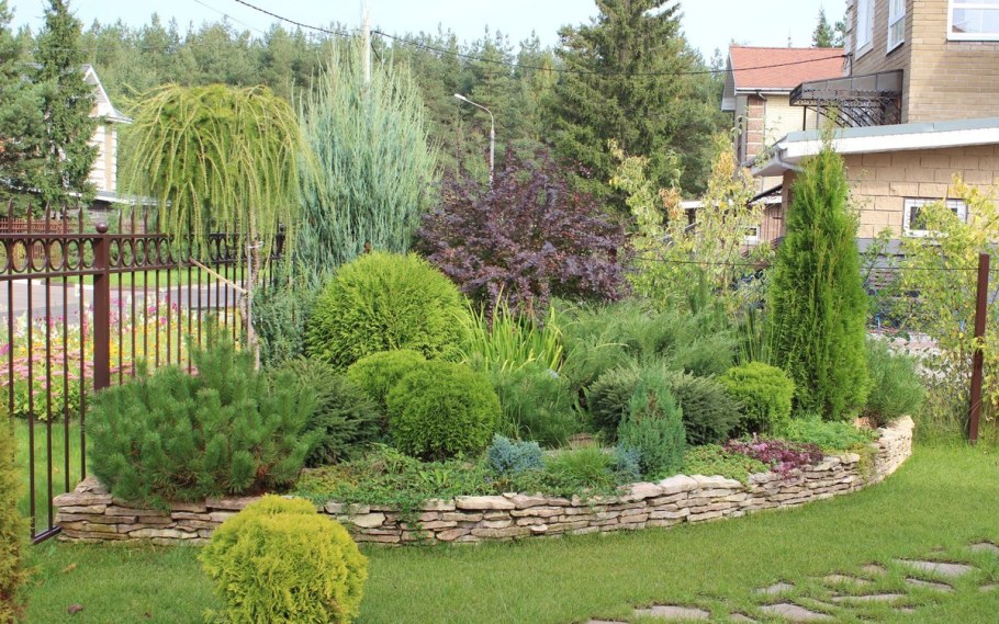 Можжевельник казацкий альпинарий