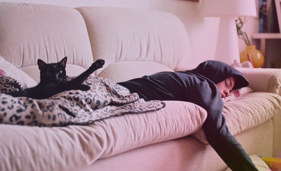 Кот развалился