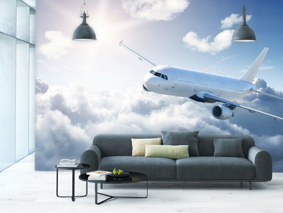 Фотообои самолет