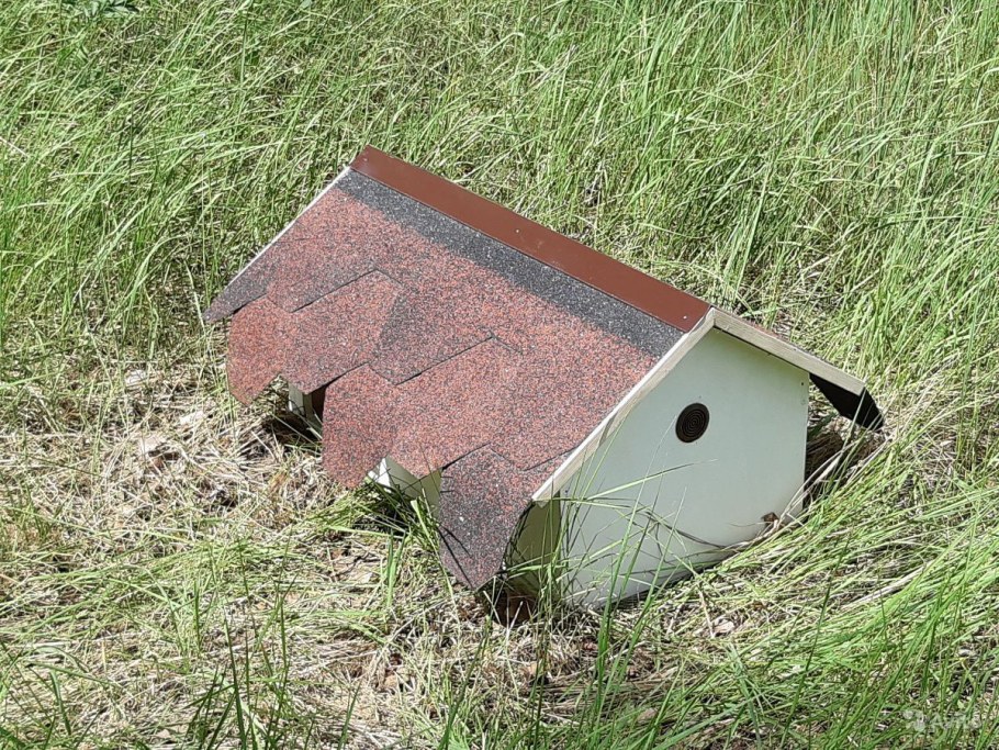 Домик для ежей на даче