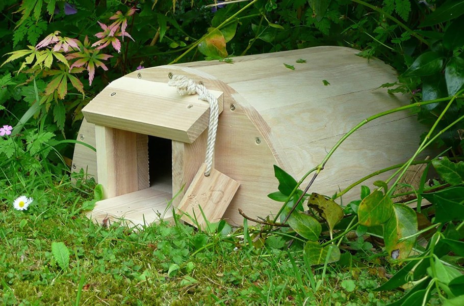 Домик для Ёжика на даче