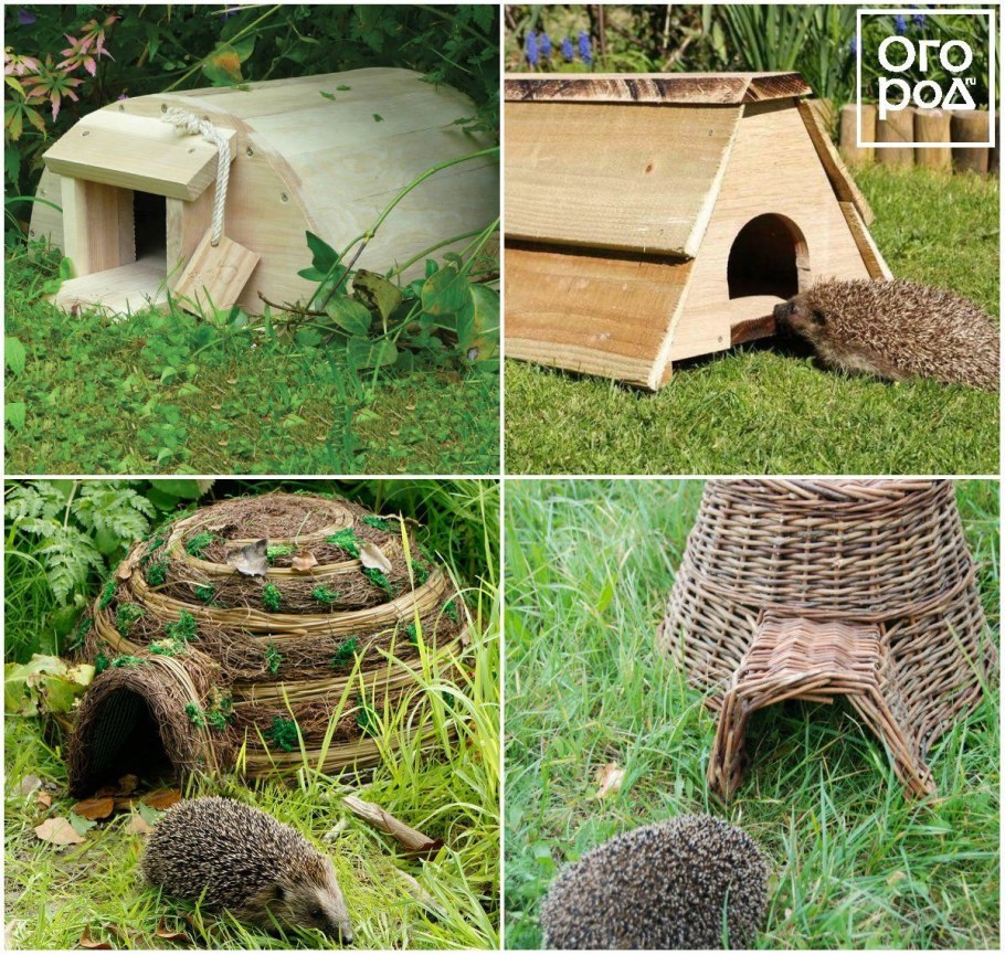 Домик для Ёжика на даче