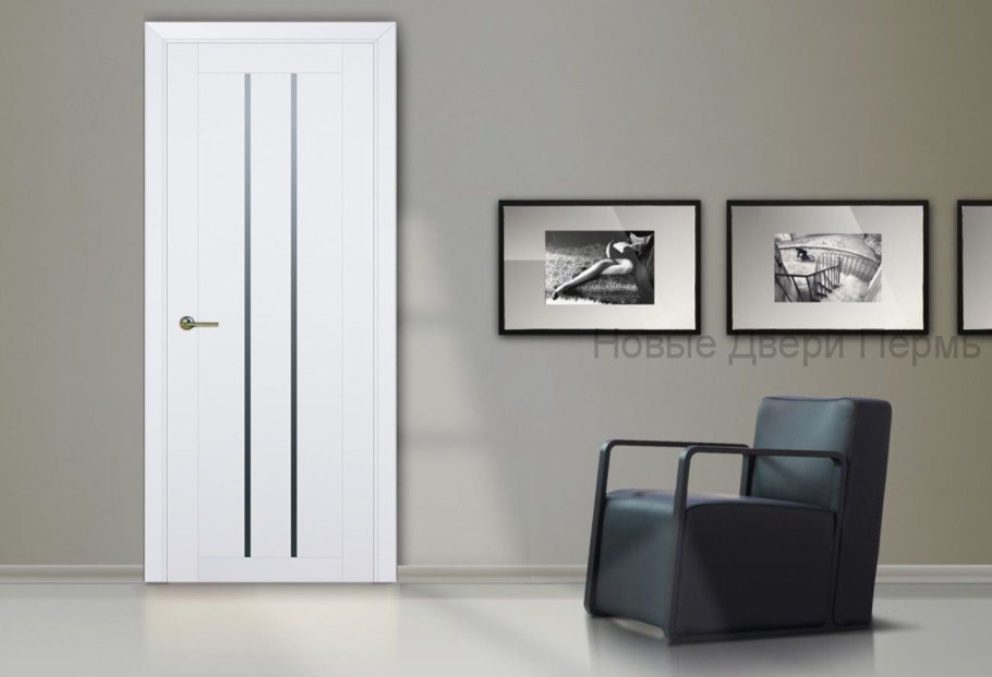 Черные двери в интерьере