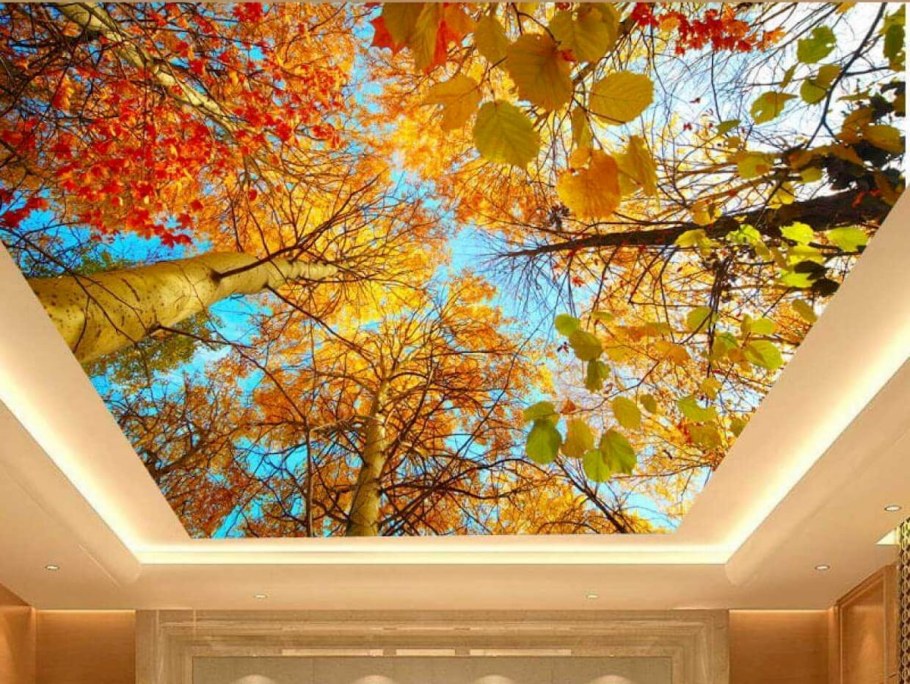 Потолок с фото печетью