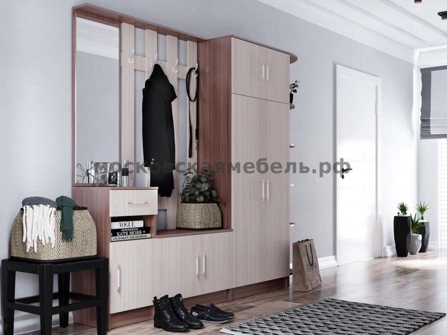 Шкаф-купе Арго 06.245