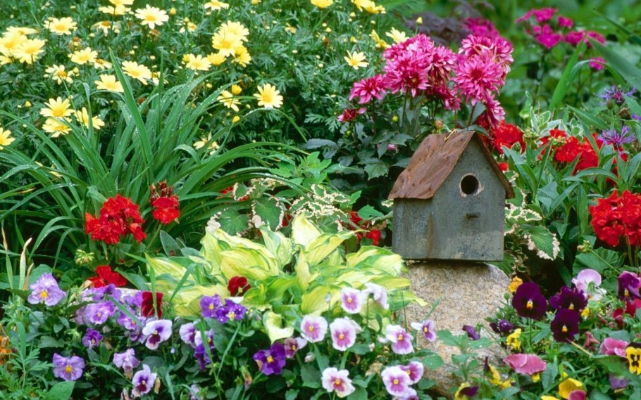 Сибирский палисадник