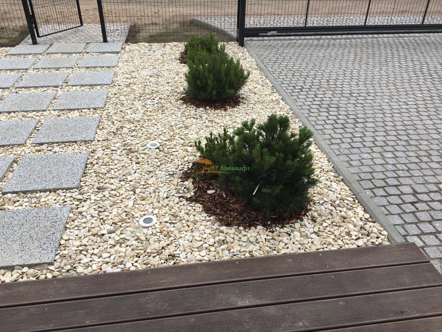 Мульчирование туи щебнем