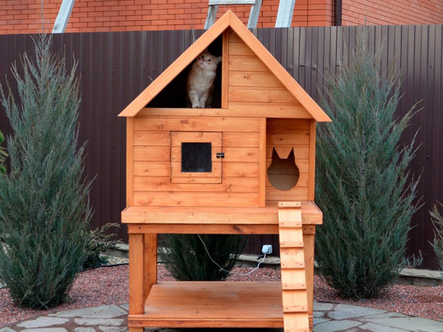 Уличный Кошкин дом