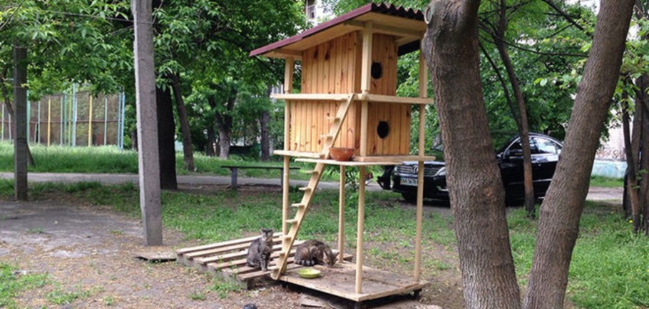 Уличный Кошкин дом