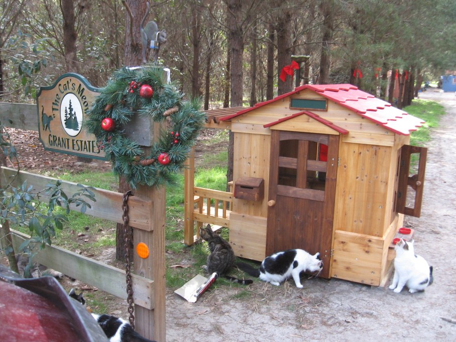 Кошкин дом для бездомных кошек