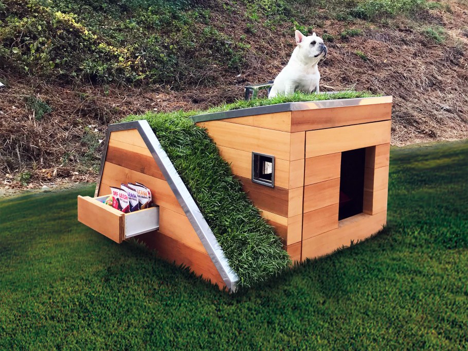Современные будки для собак