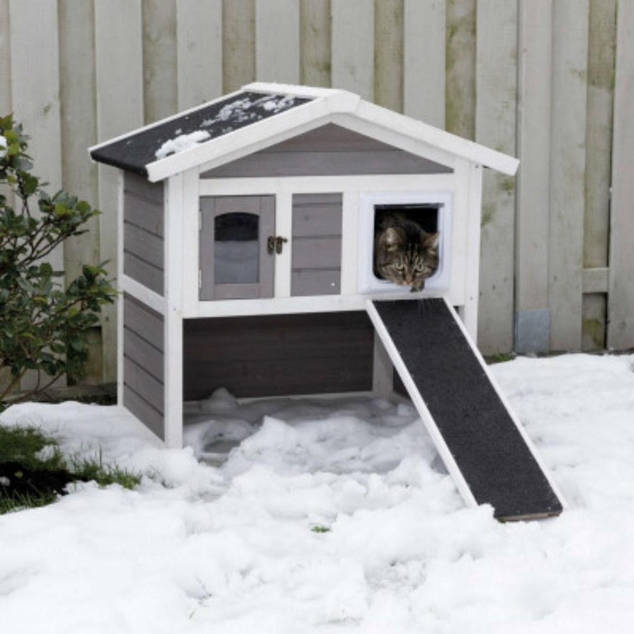 Уличные домики для кошек зимой