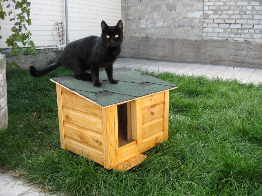 Будка для кошек уличная