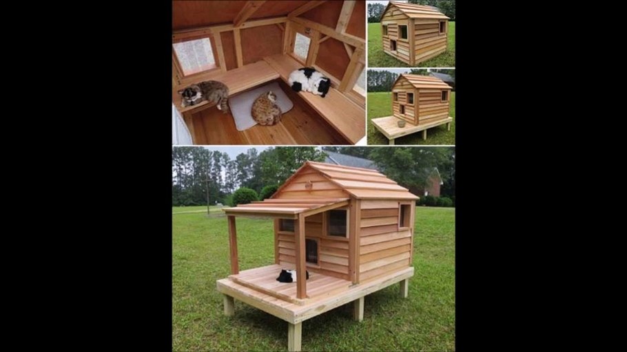 Дом для котов