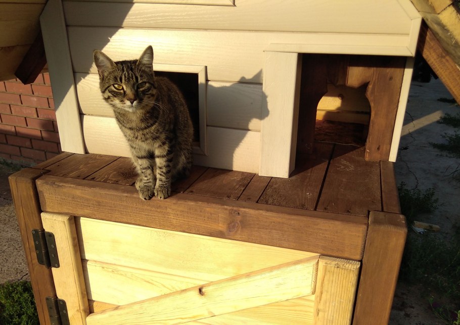 Домик для кошки из ОСБ