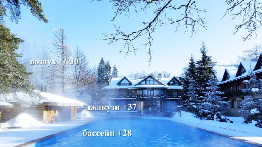 Бассейн Скандинавия Сестрорецк