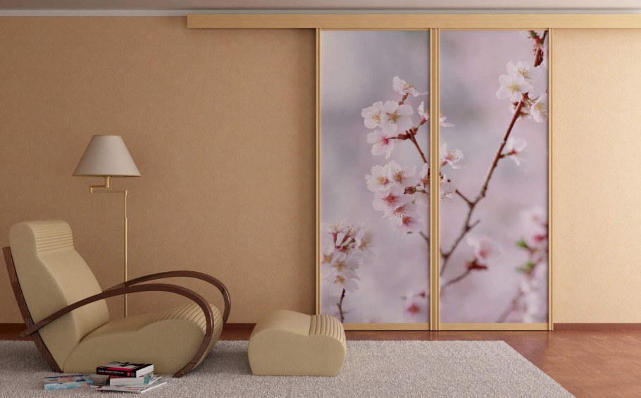 Межкомнатные перегородки с фотопечатью