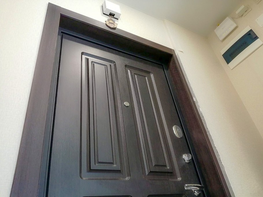 Дверная коробка без наличников