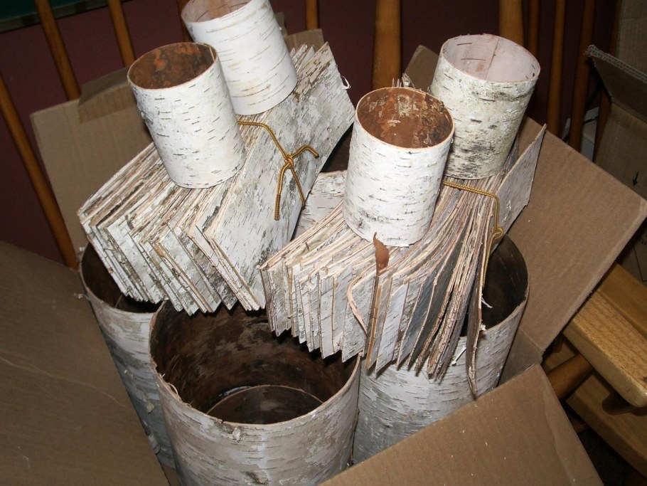 Заготовка бересты для поделок